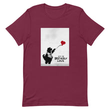Load image into Gallery viewer, “Banksy-style” City of Brotherly Love T-shirt